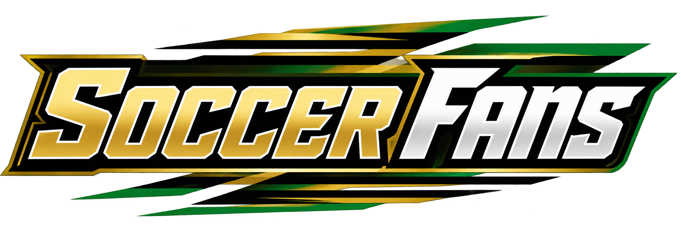 Soccer Fans